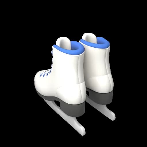 Ice Skating Shoes